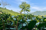 湘江里老渔村(走进湘江里老渔村，领略风景独特文化魅力)